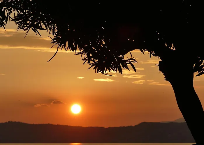 C-15a By Interhome *